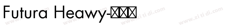 Futura Heawy字体转换